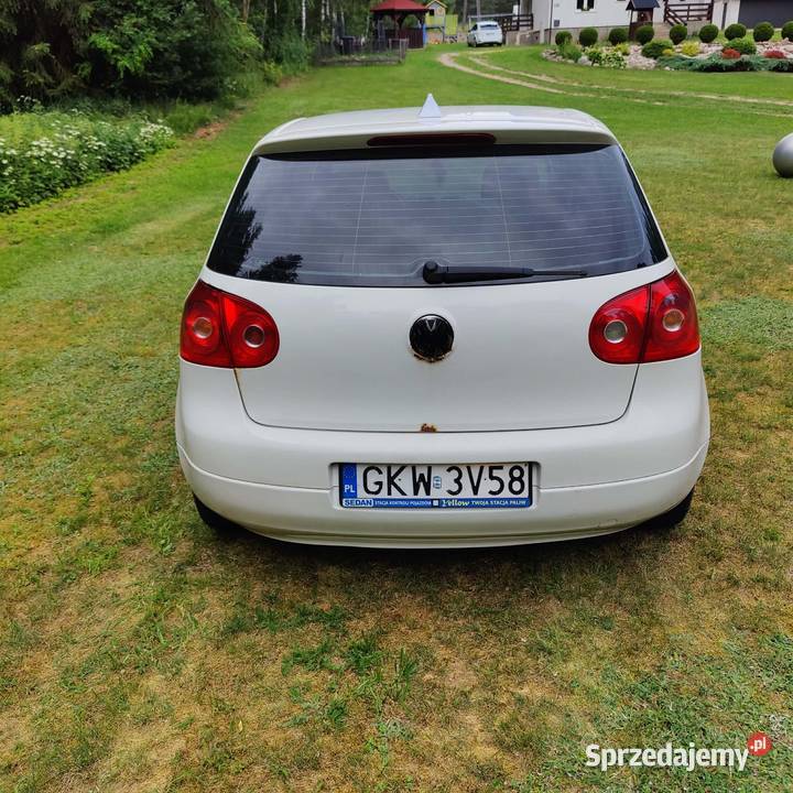 GOLF V 19 TDI nieuszkodzony warmińsko-mazurskie Tereszewo sprzedam