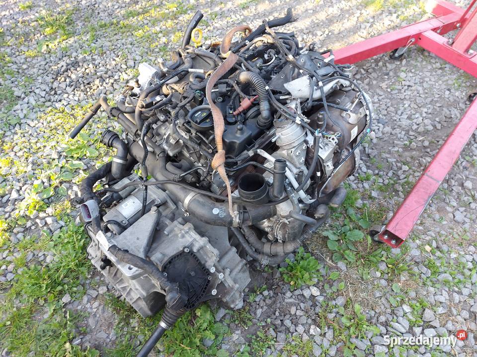 Silnik KOMPLETNY 16TDI 115 DGT DGTE Octavia 3 Tychy