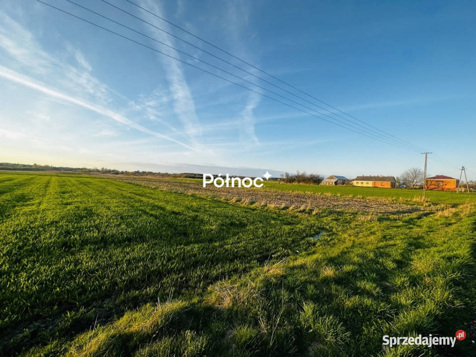 Działka rolnobudowlana 132ha w miejsciwisci Żali rolna Sprzedaż Żalin