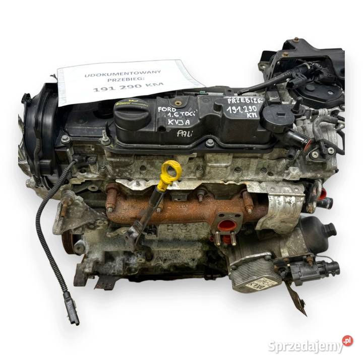 SILNIK KVJA Ford Fiesta VII MK7 14 TDCI 70 Chełm