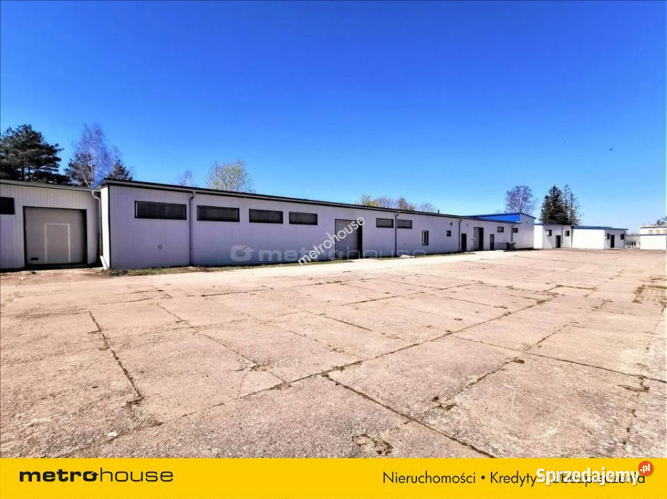 Wynajmę lokal Trzebielino 2620m2 Ilość pomieszczeń 0