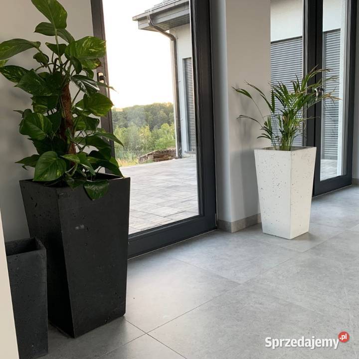 DONICA Betonowa 45x45x90 Na Kwiaty Gdów