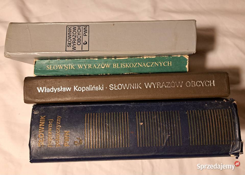Słowniki j polskiego wyrazów obcych itp zestaw Brzesko