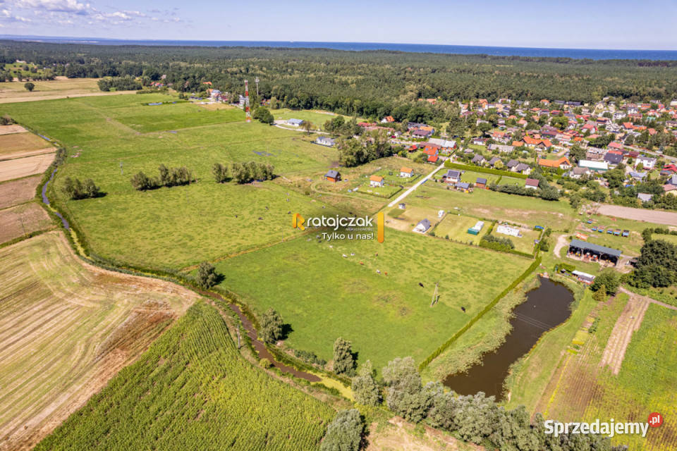 Sprzedaż gruntu 23900m Stegna Sprzedaż pomorskie
