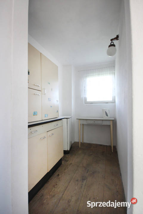 Zadbana działka ROD Ławica Poznań