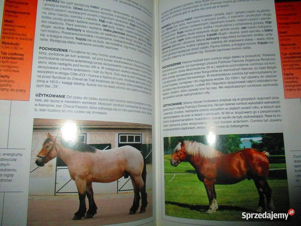psy konie ptaki ryby rasy hodowla Łódź