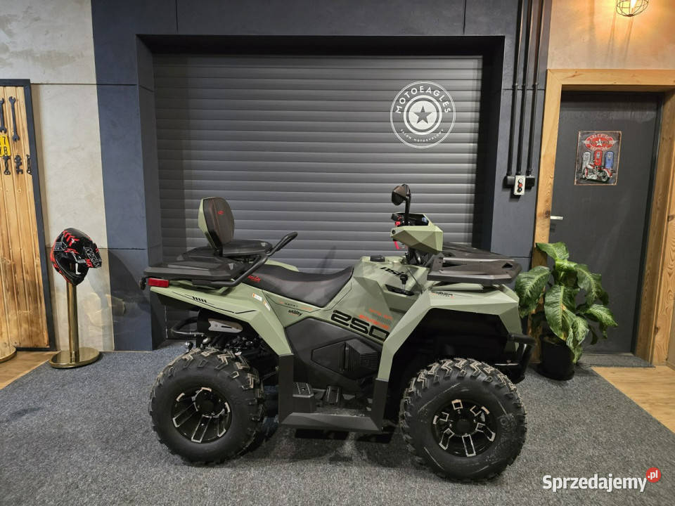 ASIX Inny Asix Cyber 300 HIT NA 2026 4x4 gigant wielkopolskie Stare Miasto sprzedam