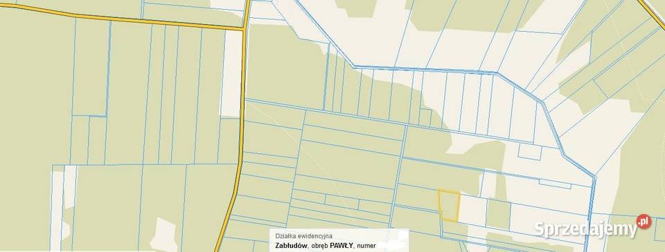 Las 10 000m2 PAWŁY leśna Pawły