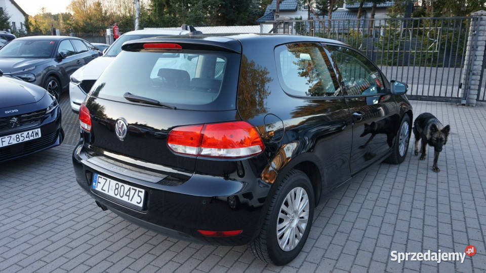 Volkswagen Golf zarejestrowany ubezpieczony Hatchback Zielona Góra