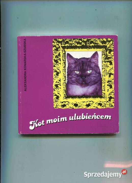Kot moim ulubieńcem zachodniopomorskie Szczecin