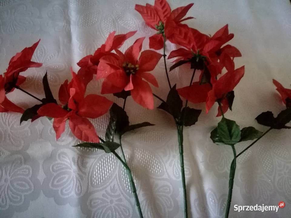 Kwiaty sztuczne 3 gwiazdy betlejemskie na łodyce odcienie czerwieni łódzkie Łódź