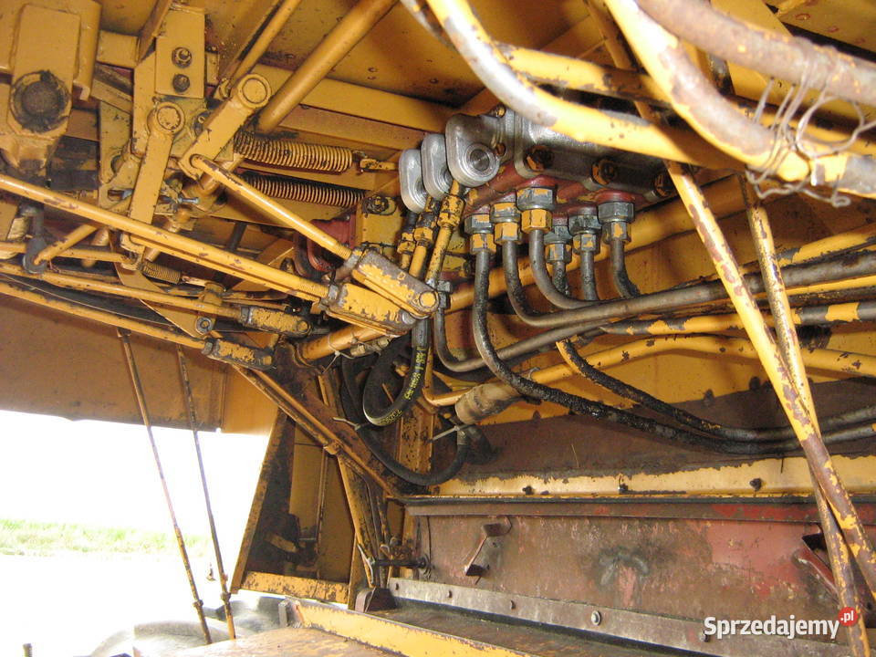 Bizon Z056 Super Brodnica