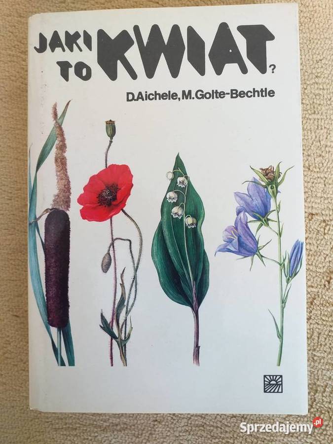 Jaki to kwiat DAichele MGolteBechtle Dąbrowa Górnicza