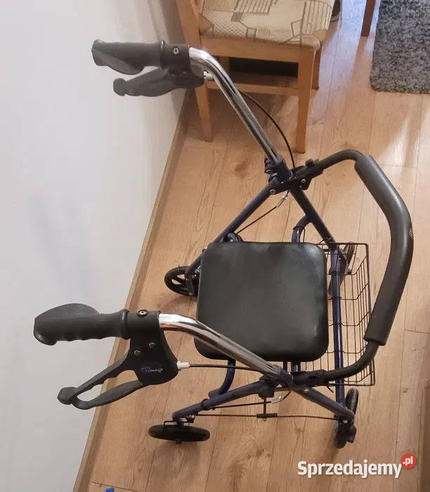 Chodzik z koszykiem Kozerki