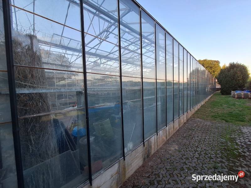 Szklarnia Venlo Krajnik Dolny