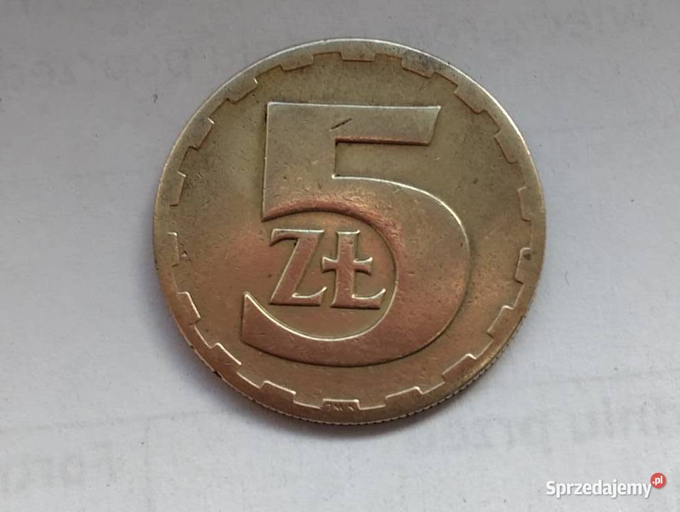 5 1976 bzm