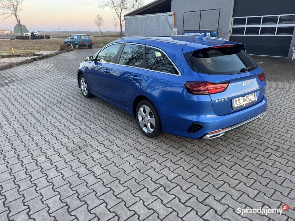 Kia Ceed SW PHEV 202324 34 LBusiness Line ASR (kontrola trakcji) Byczyna