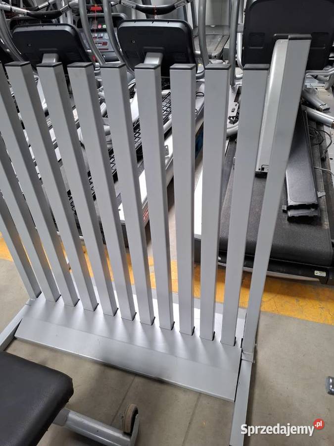 Stojak pionowy na hantle fitness