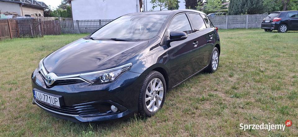 Auris18Hybryda bogataOpcja 1WŁwPL Lublin
