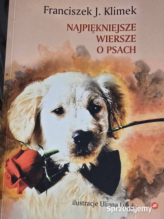 Książki hurt 3 rozdiaje zostali targach