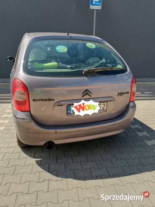 Xsara picasso Cytrynka Rok produkcji 2005 Poznań