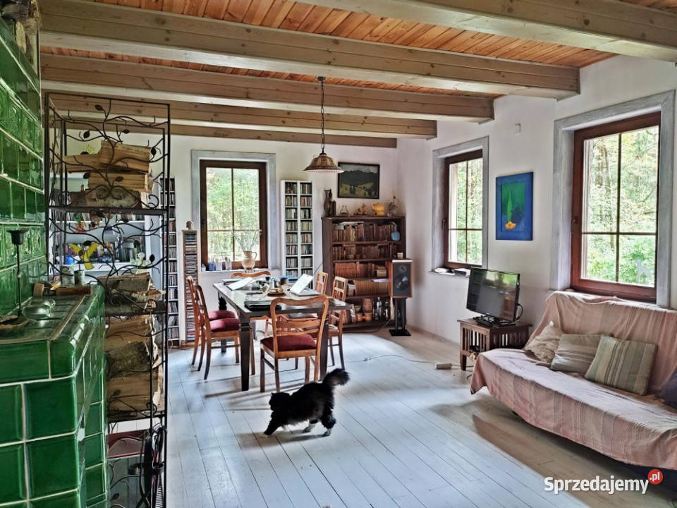 Drewniany dom w małej wiosce w lesie 35 centrum Sprzedaż mazowieckie Dębe Wielkie