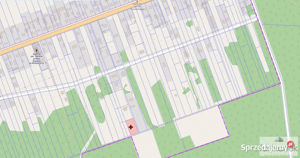 Działka 1666m Hedwiżyn