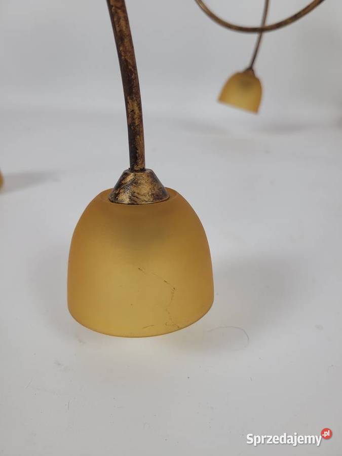 Żyrandol lampa wisząca ze szklanymi kloszami Białogard