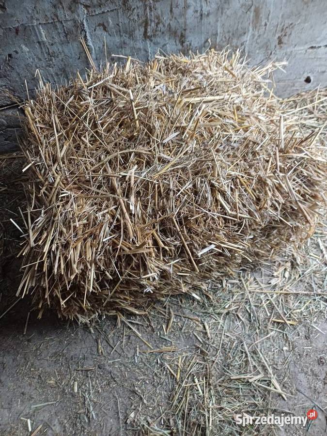 Słoma w kostkach Serokomla sprzedam