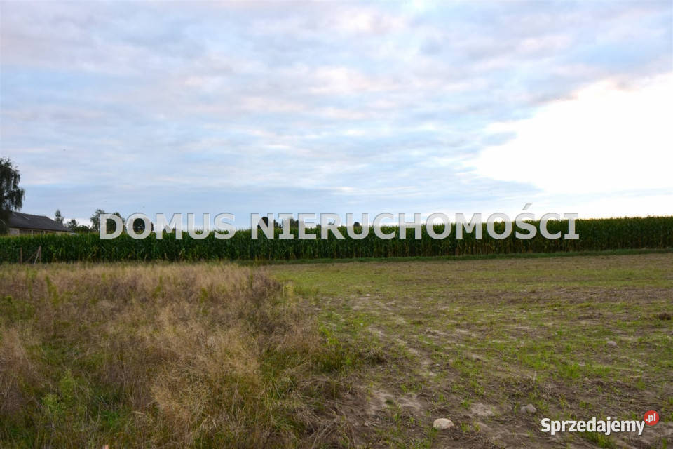 sprzedaży działki Tworzyjanki 3001m gaz łódzkie