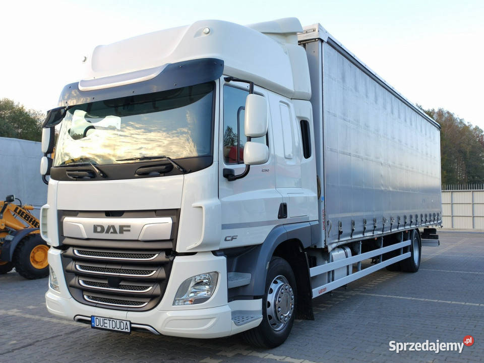 DAF CF 290 E6 Firana Tył Drzwi Dach Podnoszony pierwszy właściciel