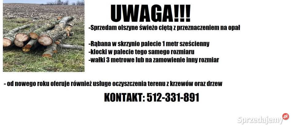 Sprzedam olszyne kujawsko-pomorskie Lipno sprzedam