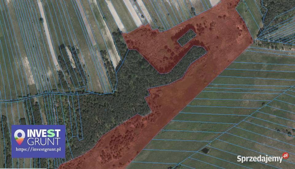 976 ha przetarg na dzierżawę gruntów rolnych Dąbrowica