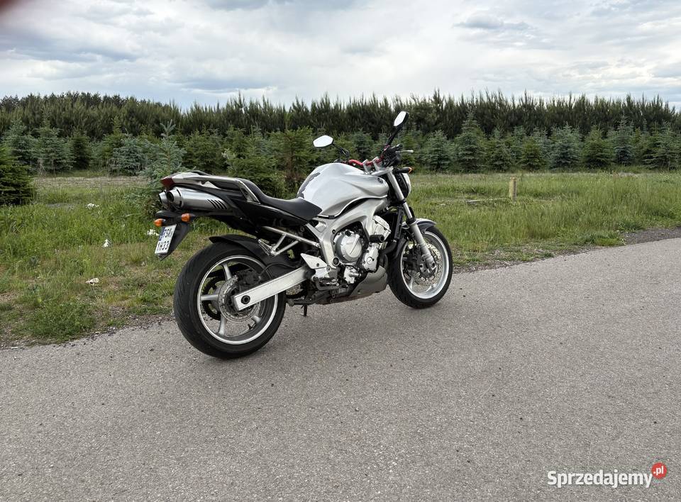 Yamaha fz6 Fazer naked