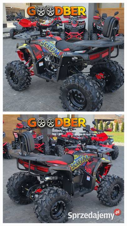 Quad Berreta Scream Bulldog 120 ccm Gwarancja Motoryzacja Bieliny