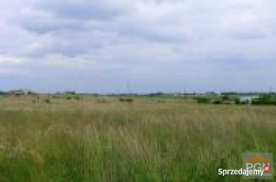 Działka Połchowo 4800m2 39zł/m2