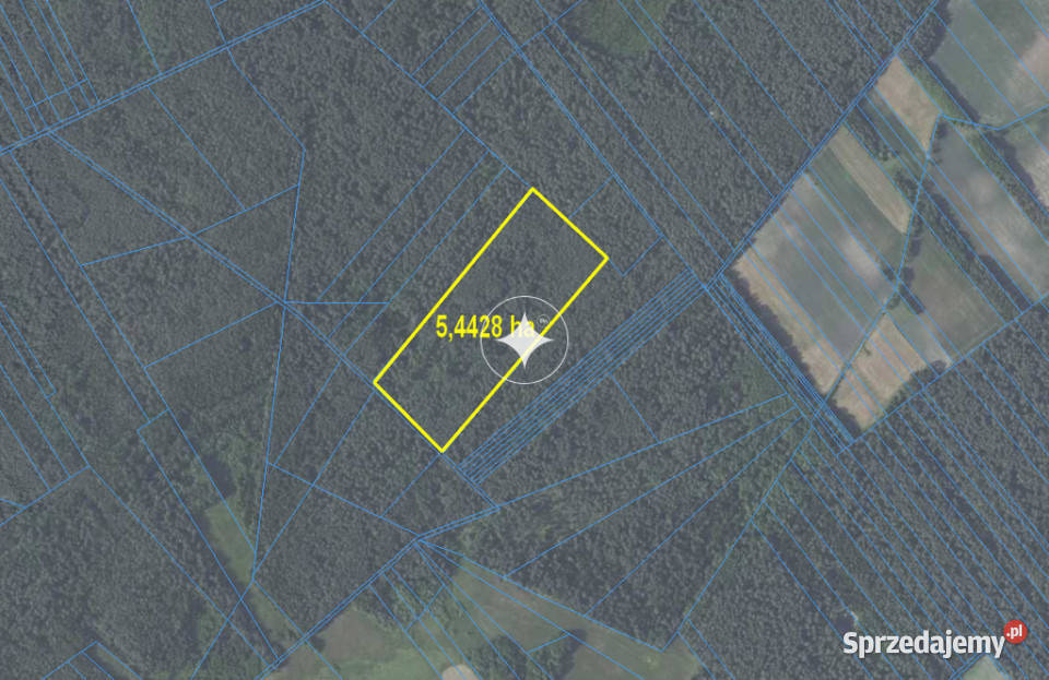 Działki leśne do sprzedaży Mokre gm Rossosz sprzedam