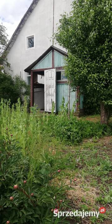 Siedlisko Ignalin 667zł/m2