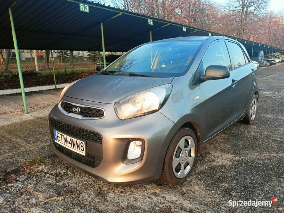 Kia Picanto Polski Salon zadbane serwisowane II Picanto Tomaszów Mazowiecki