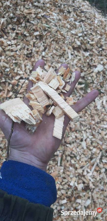 Zrębki opał węgiel ekogroszek Mortąg