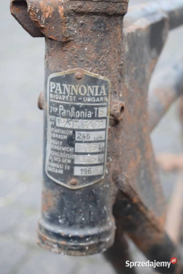 PANNONIAPANONIArama Głogów