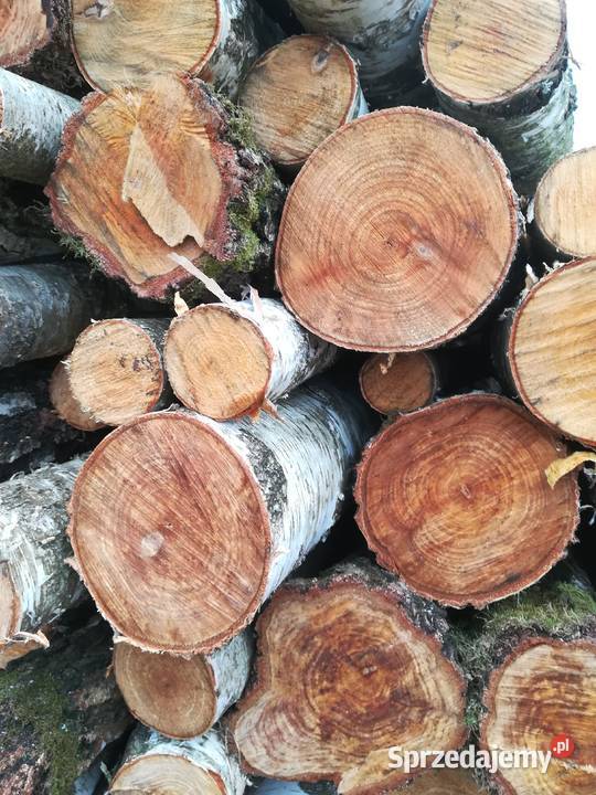 Drewno opałowe liściaste