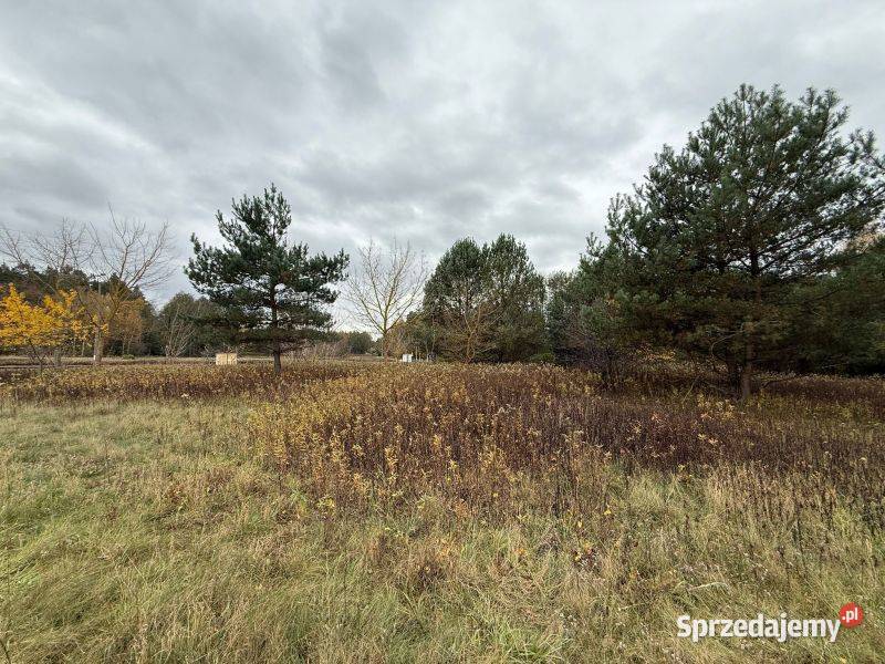 Duża działka z warunkami zabudowy w Sprzedaż