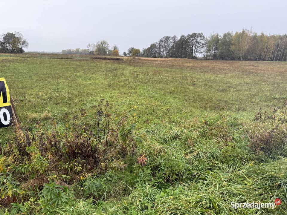 działka budowlana Sępichów