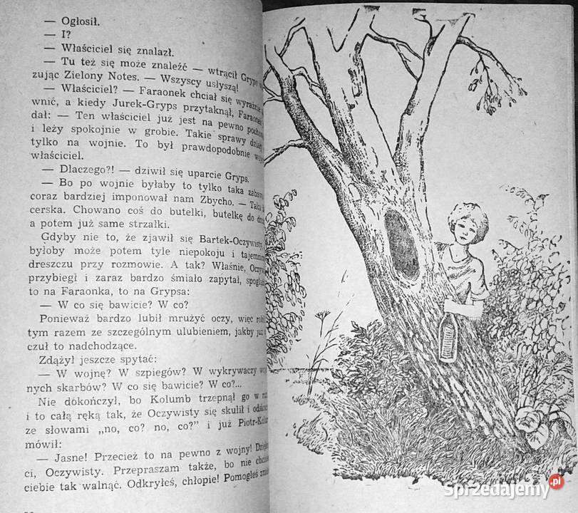 Cień słońca Jan Piepka miękka Pozostałe Chełm