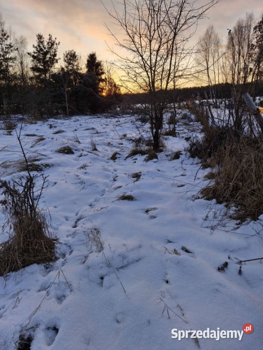 2000 m Działki Budowlanej Chełstów