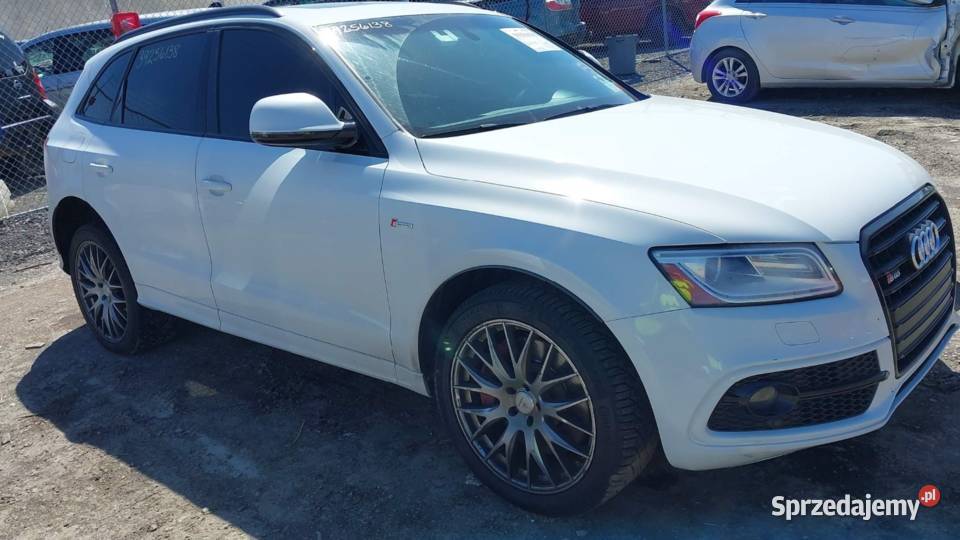 Audi SQ5 30V6T 360 Kłodawa