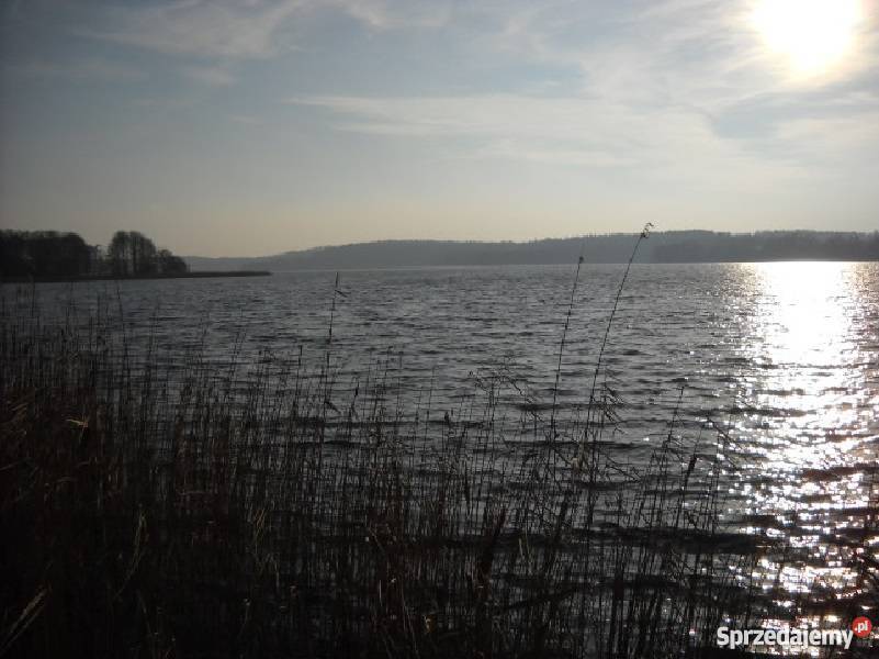 Działka budowlana z linią brzegową jeziora woda warmińsko-mazurskie Pelnik