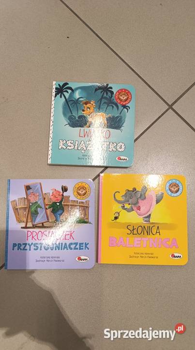 Zestaw książeczek dzieci Poznań