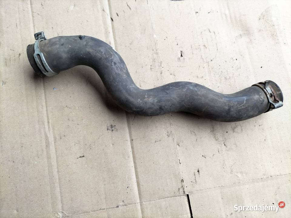 Citroen C5 Peugeot 407 RURA WĄŻ WODY Pozostałe Kamień-Kolonia